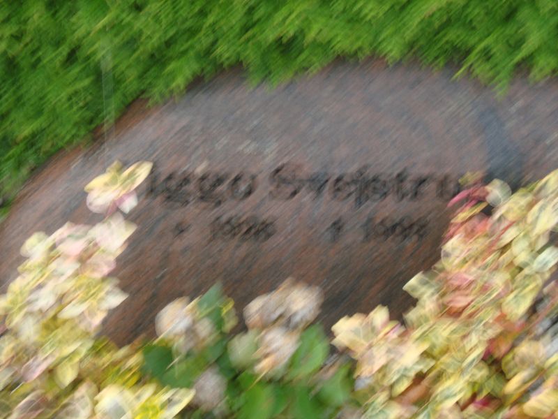 Viggo Svejstrup.JPG